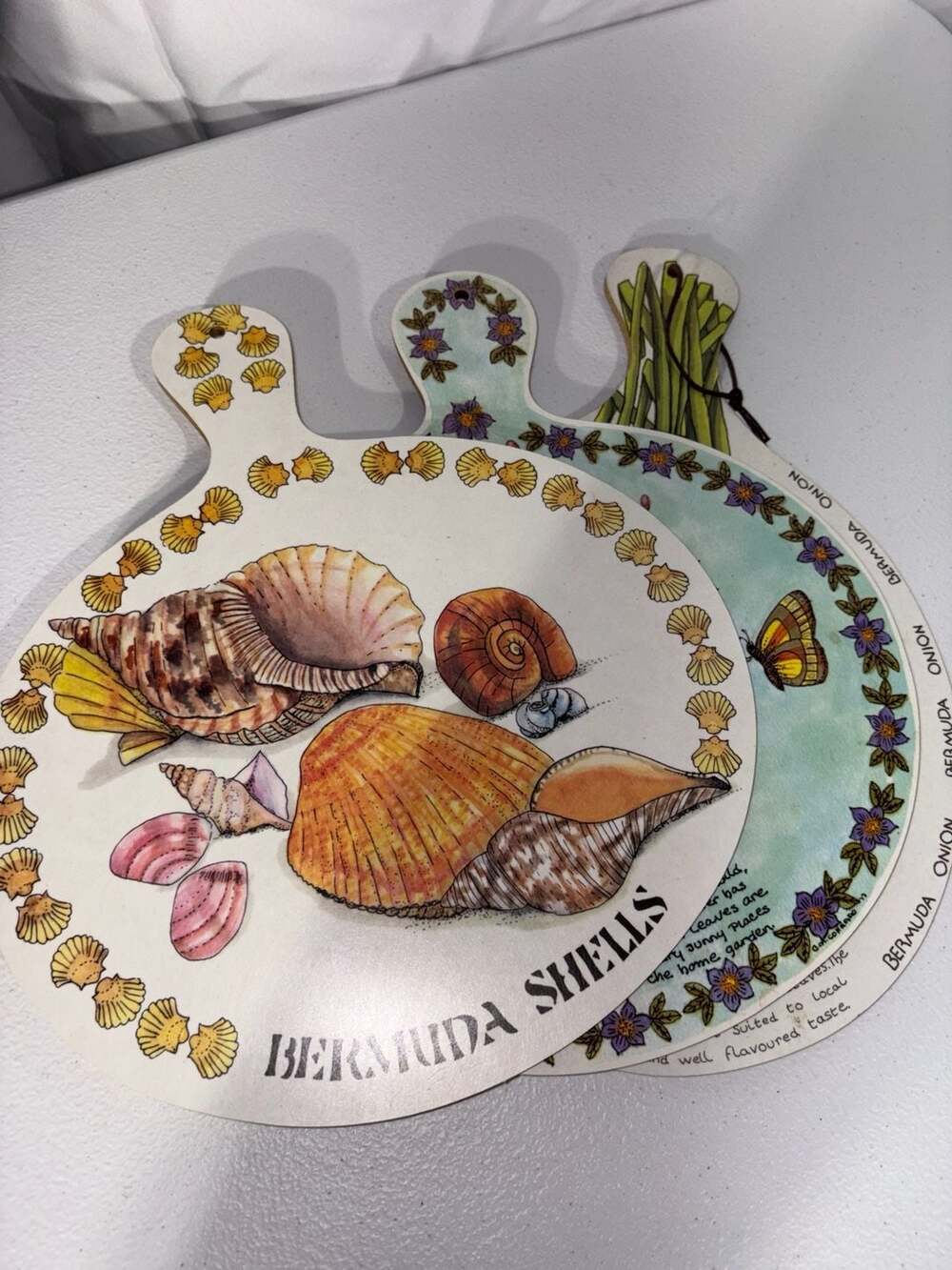 70378A - SEASHELL COLLECTION,
